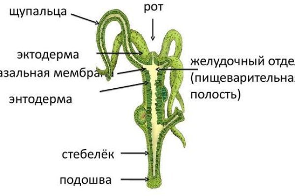 Кракен даркнет krawebes